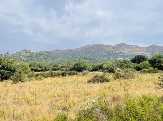 Terrain Agricole A saisir 