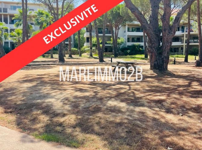 En exclusivité: Rare sur secteur 