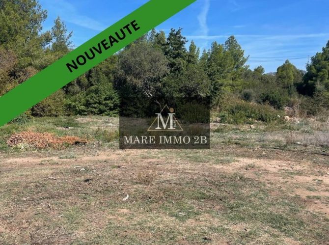 A voir Absolument: Terrain constructible 