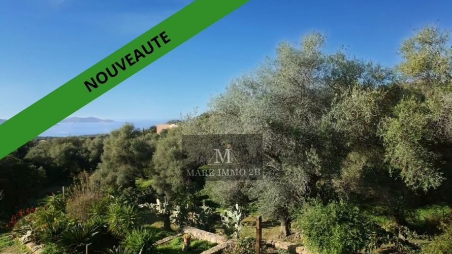 Appartement en dernier étage, vue panoramique, 