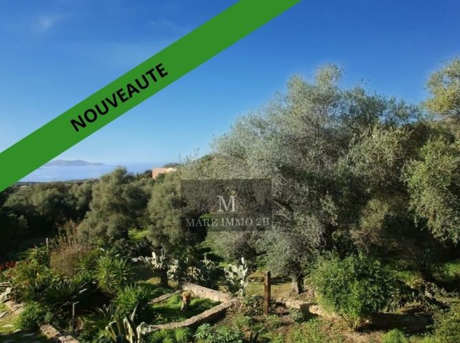 Appartement en dernier étage, vue panoramique, 