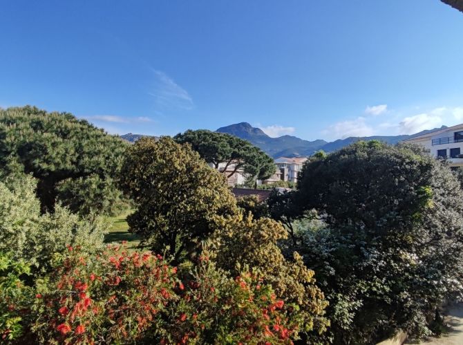 En Exclusivité :3 Pièces  à 50mètres des Plages