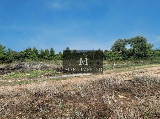 A voir Absolument: Terrain constructible 