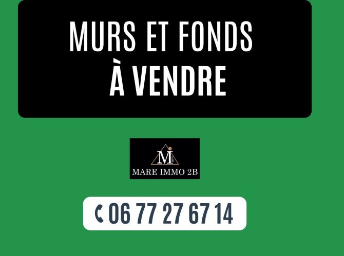 Murs et Fonds de commerce à vendre 