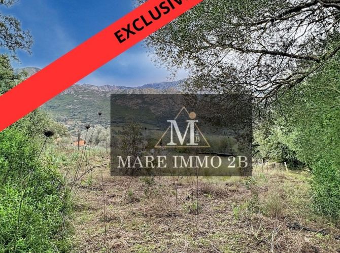 En Exclusivité :Terrain constructible de 2468m² 