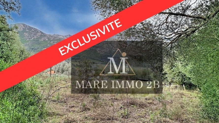 En Exclusivité :Terrain constructible de 2468m² 
