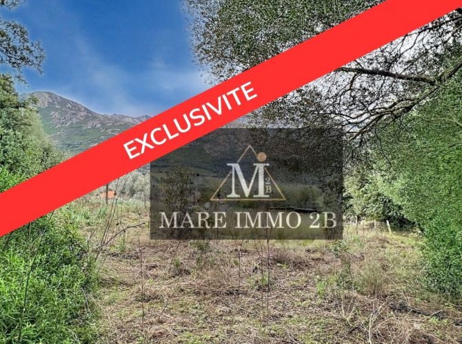 En Exclusivité :Terrain constructible de 2468m² 