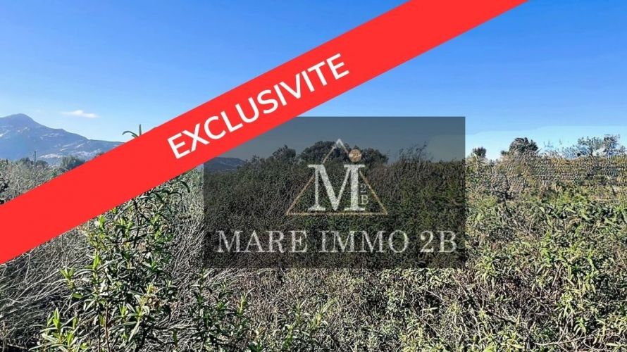 En Exclusivité: Superbe Terrain 
