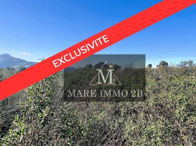 En Exclusivité: Superbe Terrain 