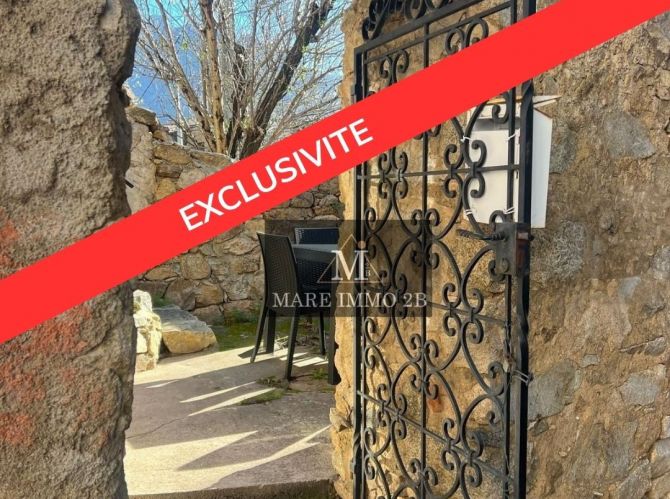 Maison de village avec terrasses 