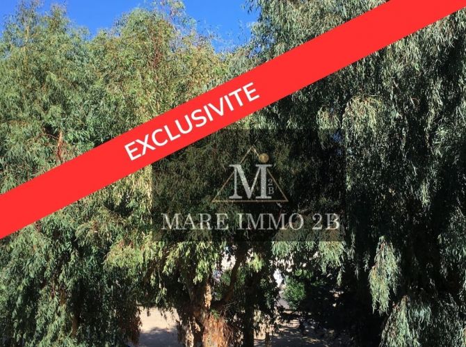 En exclusivité :Appartement 2 pièces 