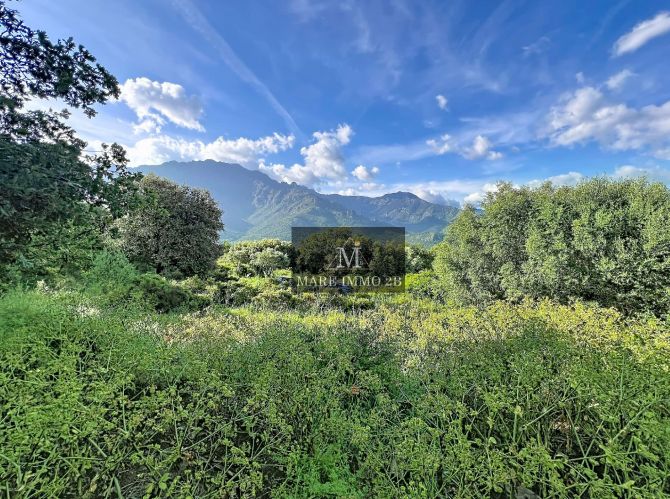 Terrain constructible de 4100m² à 20minutes de Calvi 