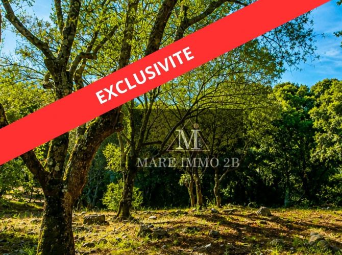 En Exclusivité :Terrain constructible de 2468m² 